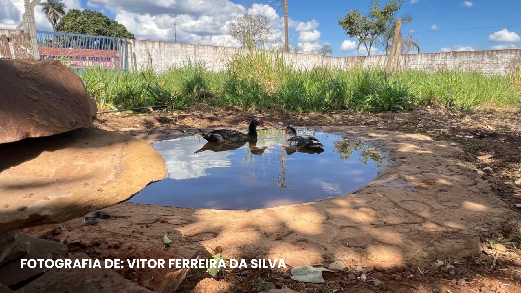 Fotografia do concurso Nossa Água, Nossas Vidas